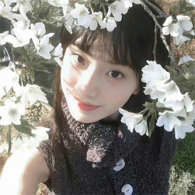 黄土高天 2018 剧集